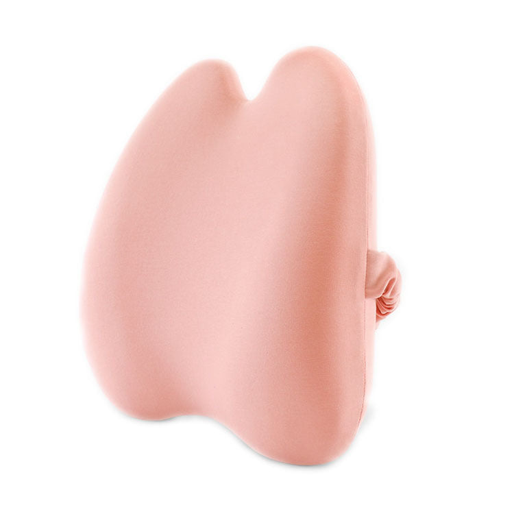 Coussin ergonomique pour le cou et le dos